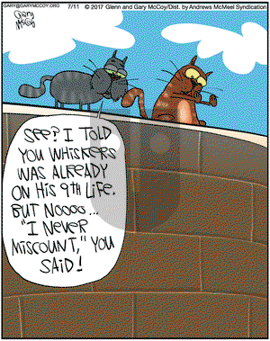 The Flying McCoys on Tuesday July 11, 2017 Comic Strip