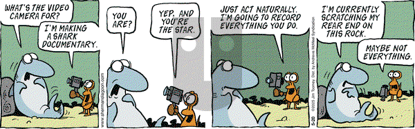 Sherman's Lagoon on Tuesday May 20, 2025 Comic Strip