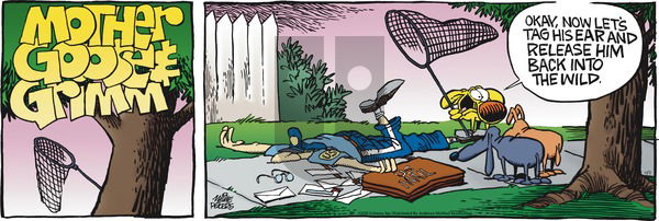 Mother Goose and Grimm on Sunday November 2, 2025 Comic Strip