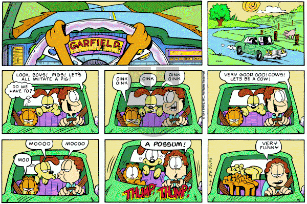 Garfield on Sunday November 6, 1994 Comic Strip