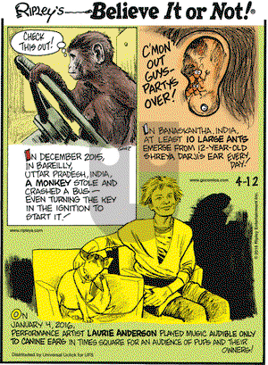 Ripley's Believe It or Not on Tuesday April 12, 2016 Comic Strip