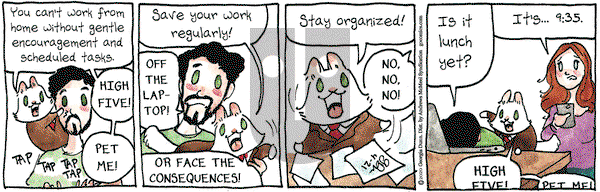 Breaking Cat News on Tuesday April 21, 2020 Comic Strip