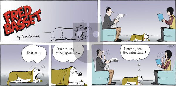 Fred Basset - Sunday November 26, 2023 Comic Strip