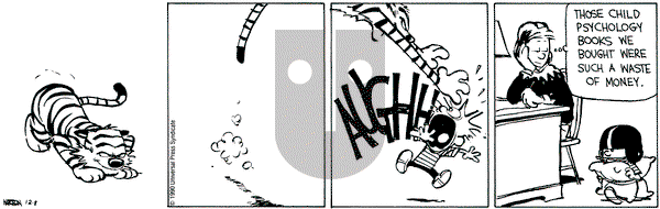 Calvin and Hobbes on Saturday December 8, 1990 Comic Strip