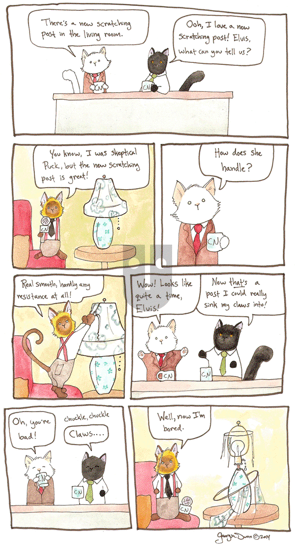 Breaking Cat News on Saturday September 17, 2016 Comic Strip