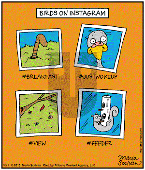 Half Full on Thursday May 21, 2015 Comic Strip