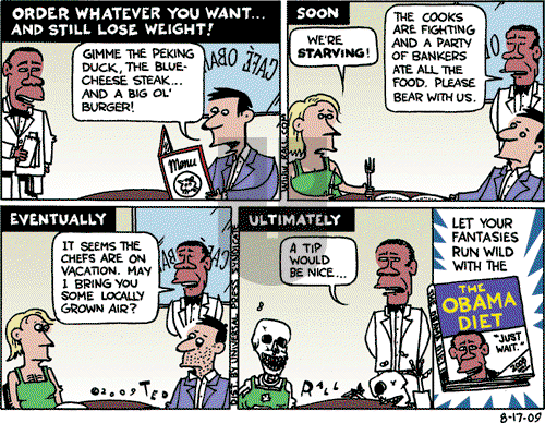 Ted Rall on Monday August 17, 2009 Comic Strip