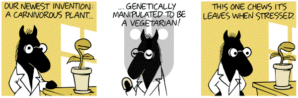 Dark Side of the Horse on Sunday March 4, 2012 Comic Strip