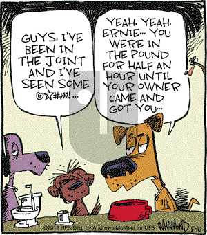Reality Check on Thursday May 16, 2019 Comic Strip