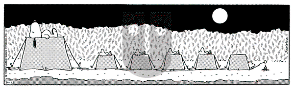 Peanuts on Monday November 9, 1998 Comic Strip