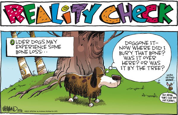 Reality Check on Sunday August 26, 2018 Comic Strip