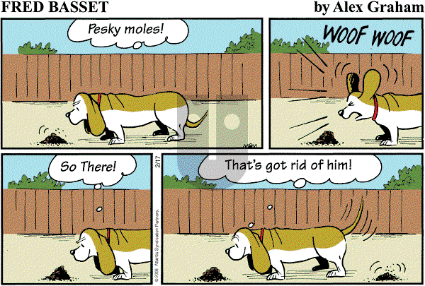 Fred Basset on Sunday February 17, 2008 Comic Strip