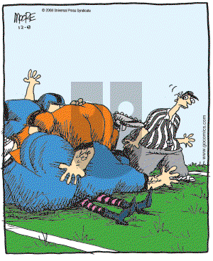 In the Bleachers - Monday December 8, 2008 Comic Strip