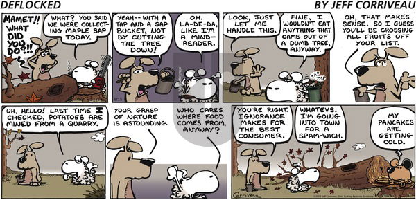 DeFlocked - Sunday June 15, 2008 Comic Strip