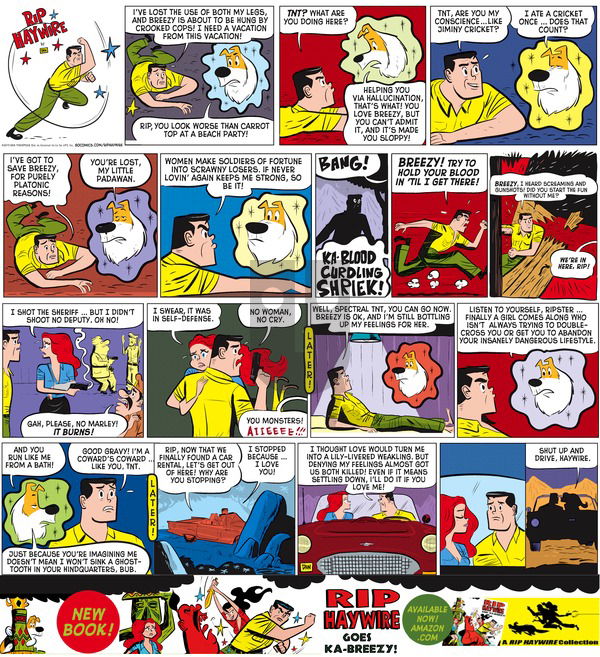 Rip Haywire on Sunday July 5, 2015 Comic Strip