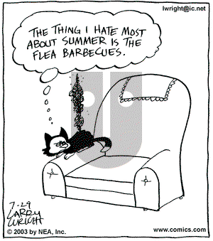 Kit 'N' Carlyle on Tuesday July 29, 2003 Comic Strip