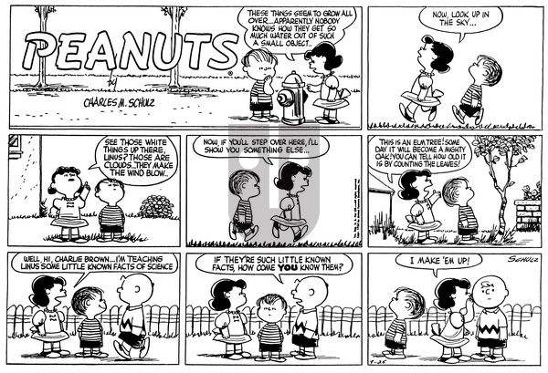 Peanuts on Sunday September 25, 1955 Comic Strip
