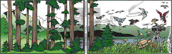 Doonesbury on Friday July 1, 2016 Comic Strip