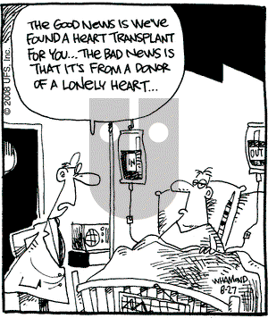 Reality Check on Wednesday August 27, 2008 Comic Strip