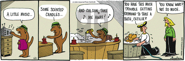 Overboard on Thursday February 3, 2005 Comic Strip