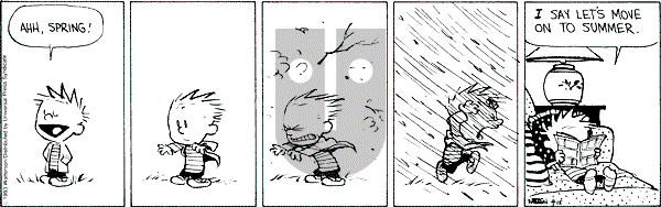 Calvin and Hobbes - Thursday April 15, 1993 Comic Strip