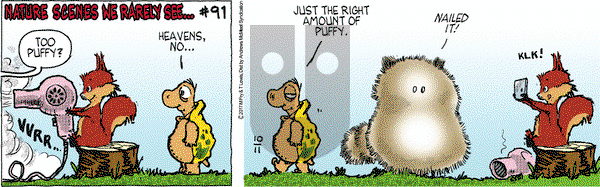 Over the Hedge on Wednesday October 11, 2017 Comic Strip