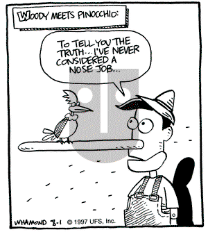 Reality Check on Friday August 1, 1997 Comic Strip