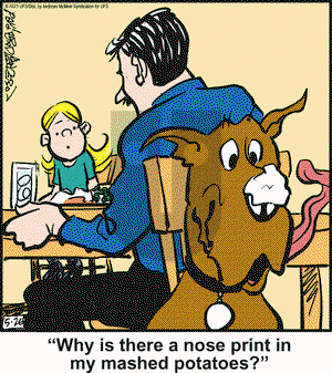 Marmaduke on Monday May 26, 2025 Comic Strip
