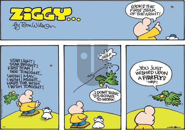Ziggy - Sunday December 7, 2014 Comic Strip