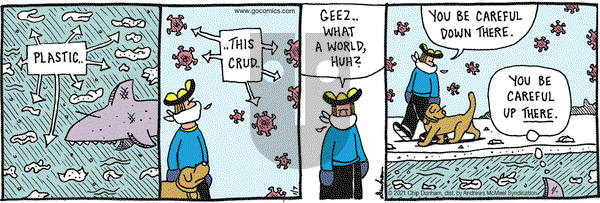 Overboard on Thursday January 7, 2021 Comic Strip