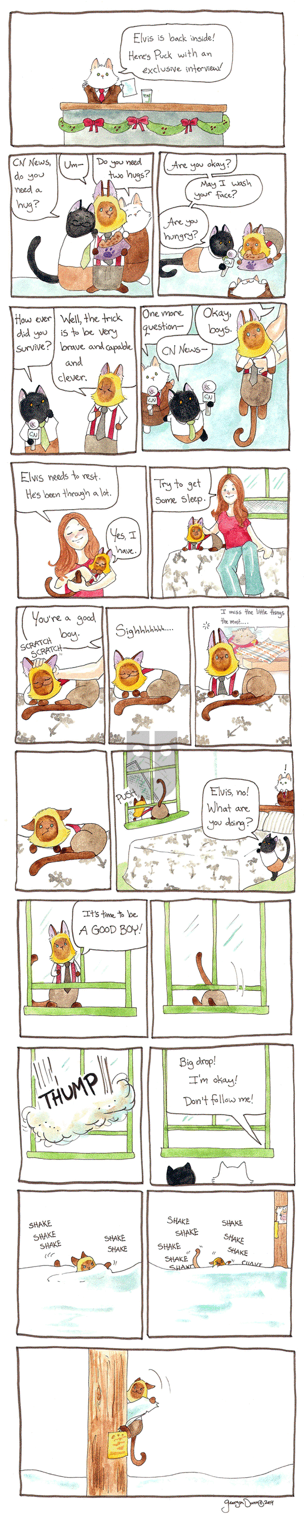 Breaking Cat News on Monday December 21, 2015 Comic Strip