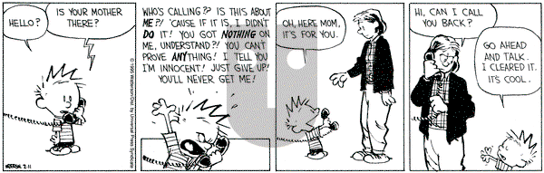 Calvin and Hobbes on Saturday February 11, 1995 Comic Strip