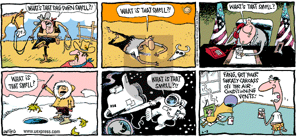 The Duplex on Sunday June 8, 1997 Comic Strip