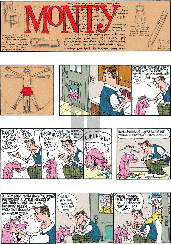Monty on Sunday November 13, 2011 Comic Strip
