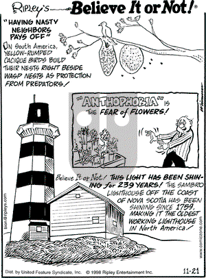 Ripley's Believe It or Not on Saturday November 21, 1998 Comic Strip