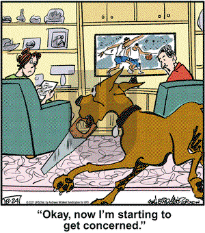 Marmaduke on Tuesday August 24, 2021 Comic Strip