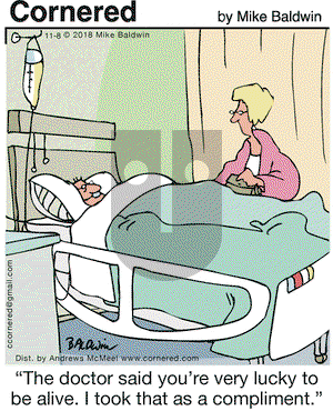 Cornered on Thursday November 8, 2018 Comic Strip
