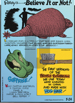 Ripley's Believe It or Not on Tuesday March 24, 2020 Comic Strip