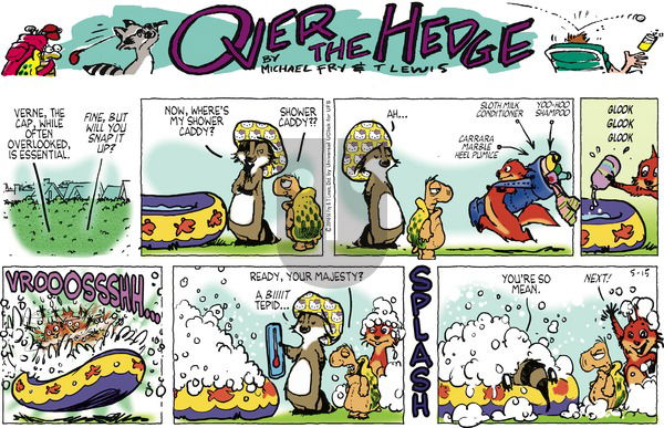 Over the Hedge on Sunday May 15, 2016 Comic Strip