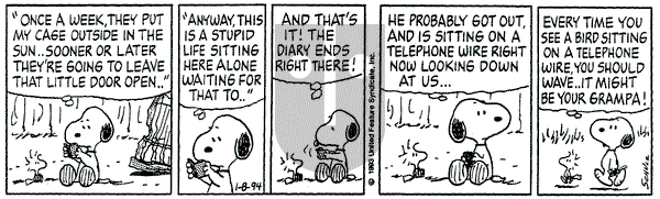 Peanuts on Saturday January 8, 1994 Comic Strip