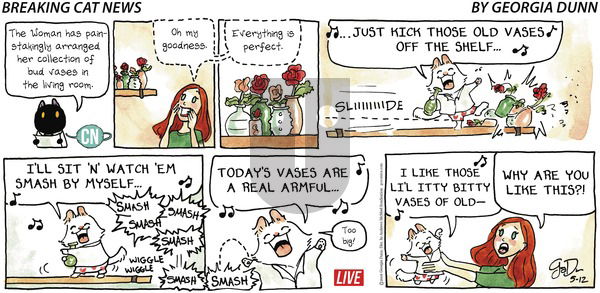 Breaking Cat News on Sunday May 12, 2019 Comic Strip