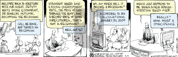 Non Sequitur - Friday July 4, 2008 Comic Strip