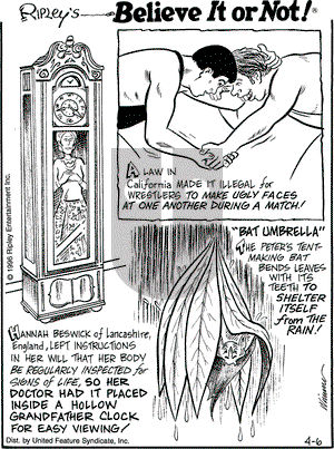 Ripley's Believe It or Not on Saturday April 6, 1996 Comic Strip