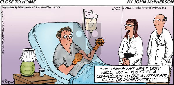 Close to Home on Sunday November 23, 2014 Comic Strip