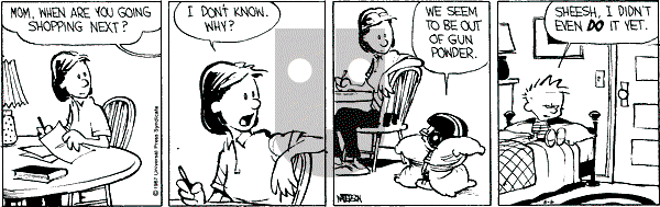 Calvin and Hobbes - Wednesday May 6, 1987 Comic Strip