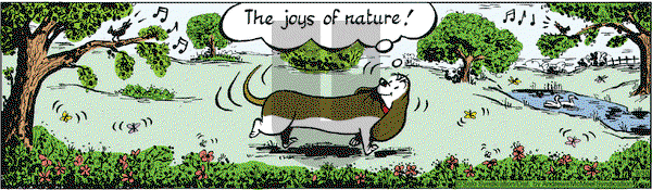 Fred Basset on Wednesday September 30, 2020 Comic Strip