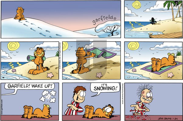 Garfield on Sunday January 24, 2010 Comic Strip