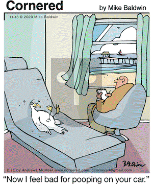 Cornered on Friday November 13, 2020 Comic Strip