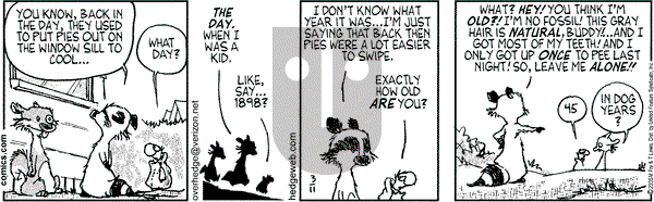 Over the Hedge on Friday March 11, 2005 Comic Strip