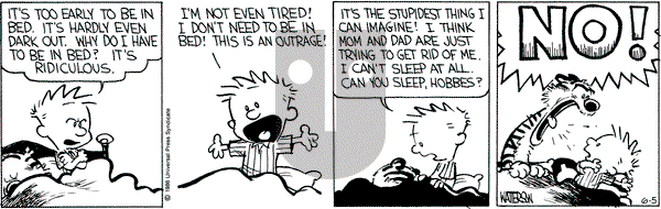 Calvin and Hobbes on Thursday June 5, 1986 Comic Strip